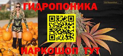 СК Конаково