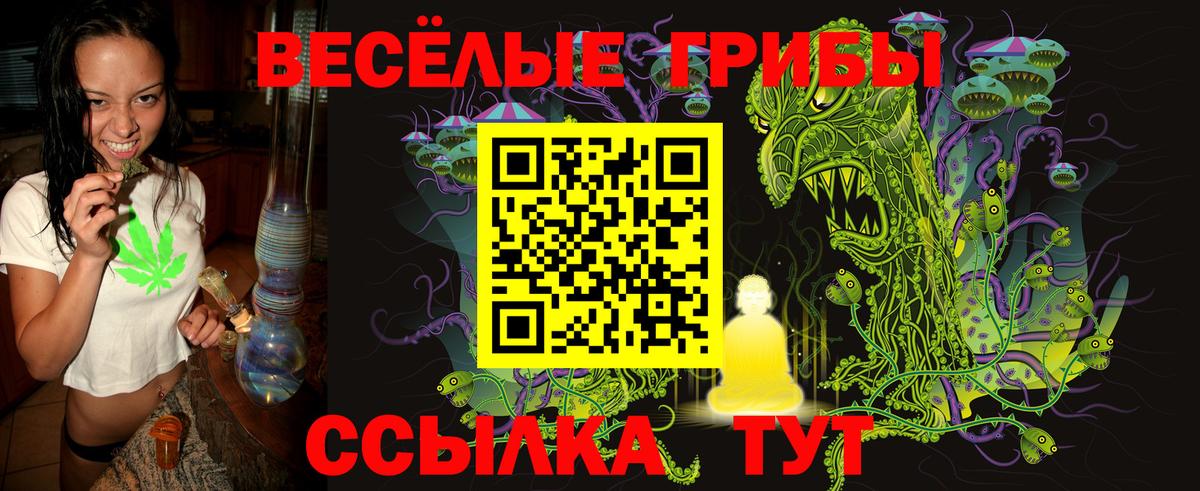 Галлюциногенные грибы Psilocybe Коркино