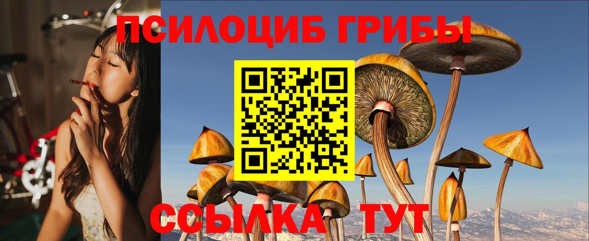 Коркино  Галлюциногенные грибы ЛСД  Вход с VPN 